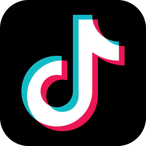 TikTok Installer Logo